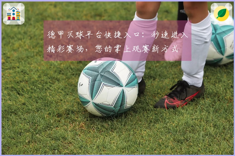 德甲买球平台快捷入口：秒速进入精彩赛场，您的掌上观赛新方式